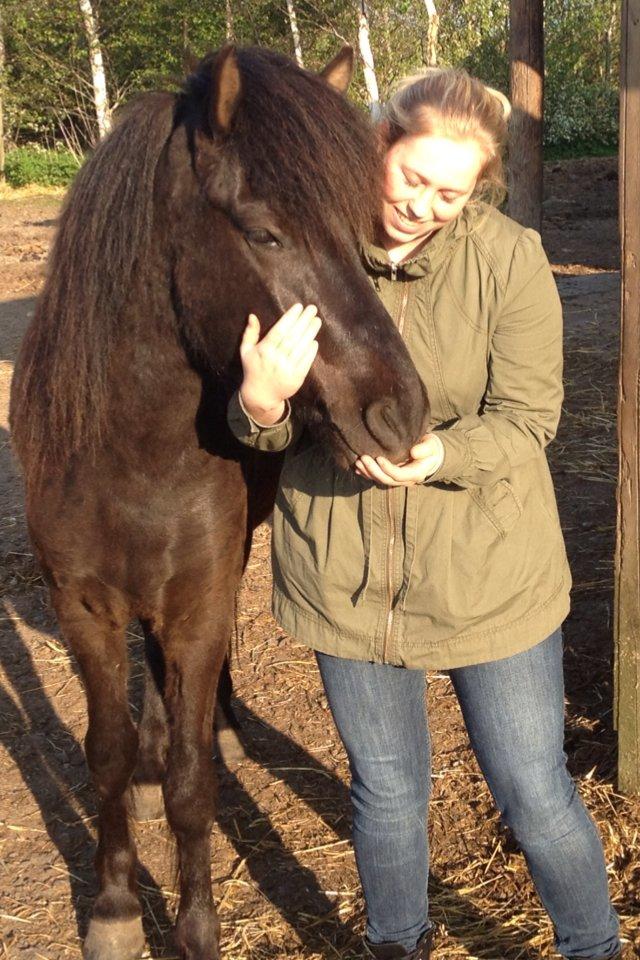 Islænder Vinur fra Langdal billede 8