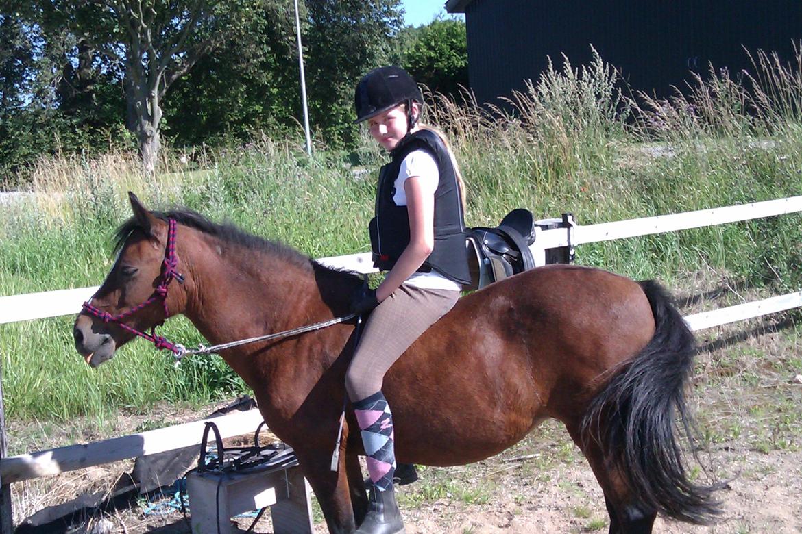 Anden særlig race - Smukke Fanta!<3 | My Soulmate |  Min Bedste Ven - Tuuuuuunge!<3 Fanta, man kan alt på dig!<3 Føler mig tryg når jeg er sammen med dig/rider på dig!<3 Du er den mest fantastiske pony, EVER!<3 :-) .. billede 5