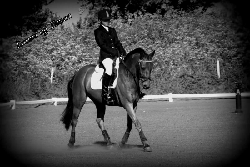 Anden særlig race Timon - Min stjerne<3 billede 6