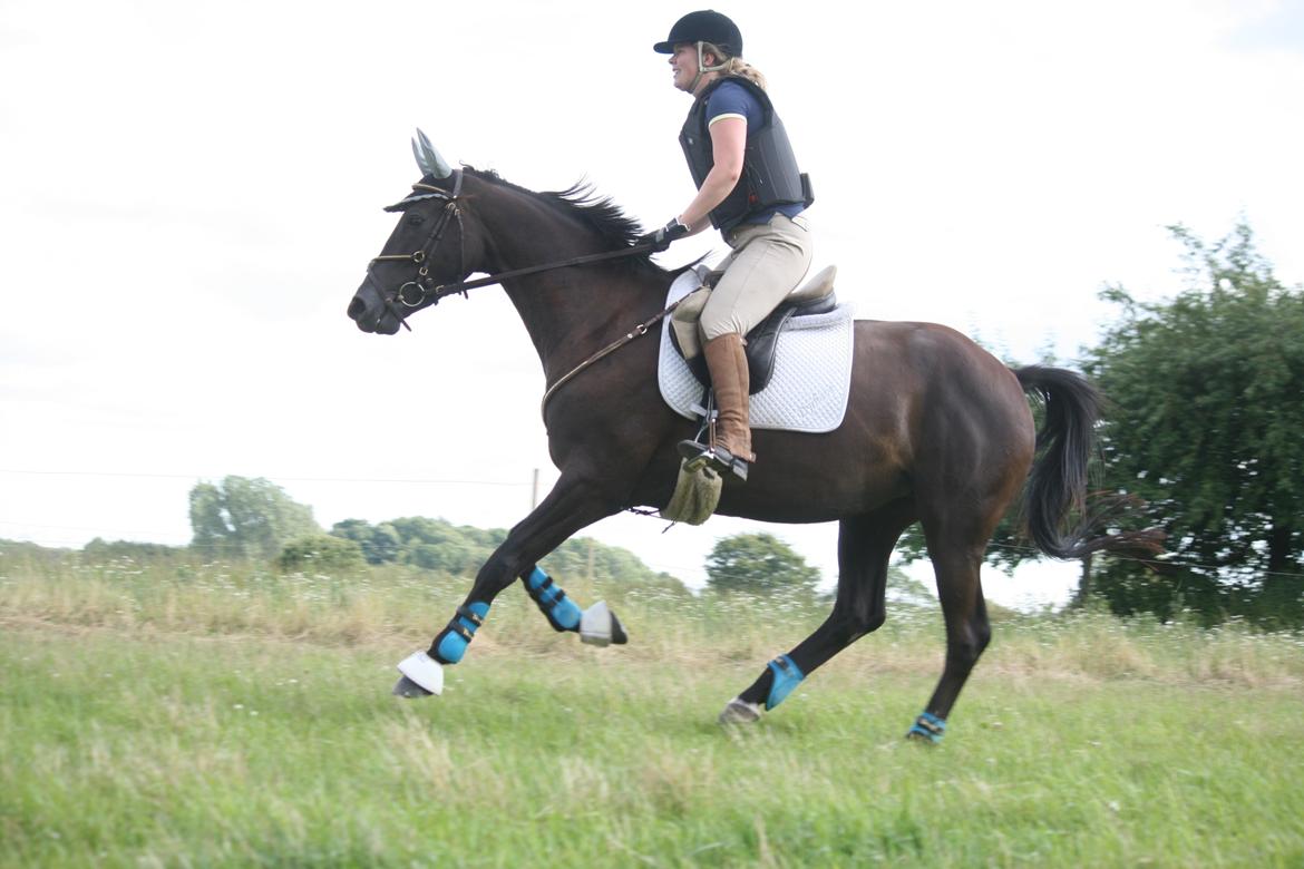 Trakehner Kayla Dyrhave - juli 2012 billede 10