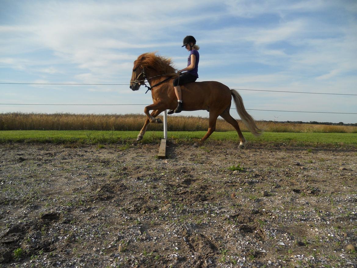 Islænder .:Gaski Fra Stokbro:. .:Perlen: *Mors* billede 19
