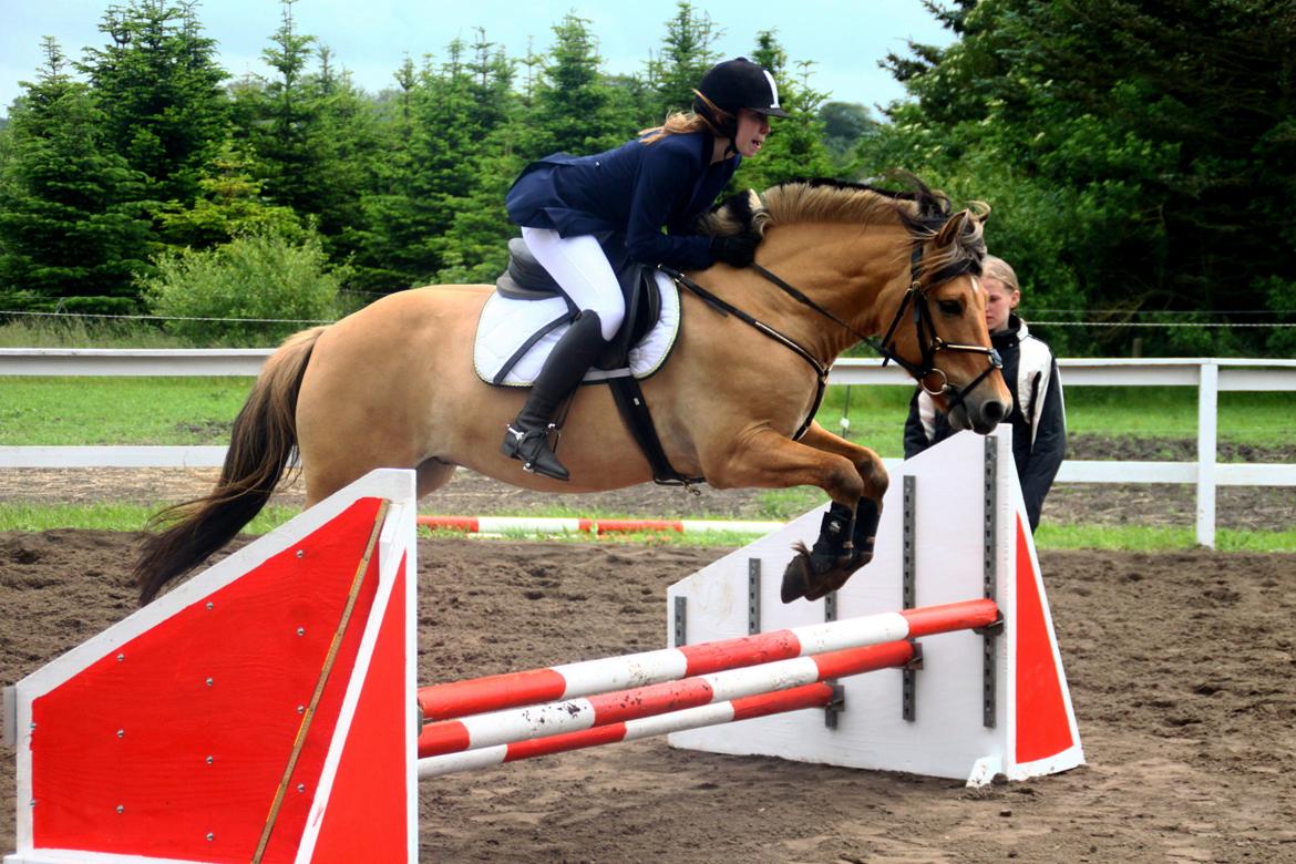 Anden særlig race Lukas - Første stævne sammen - anden plads, 60 cm. billede 4