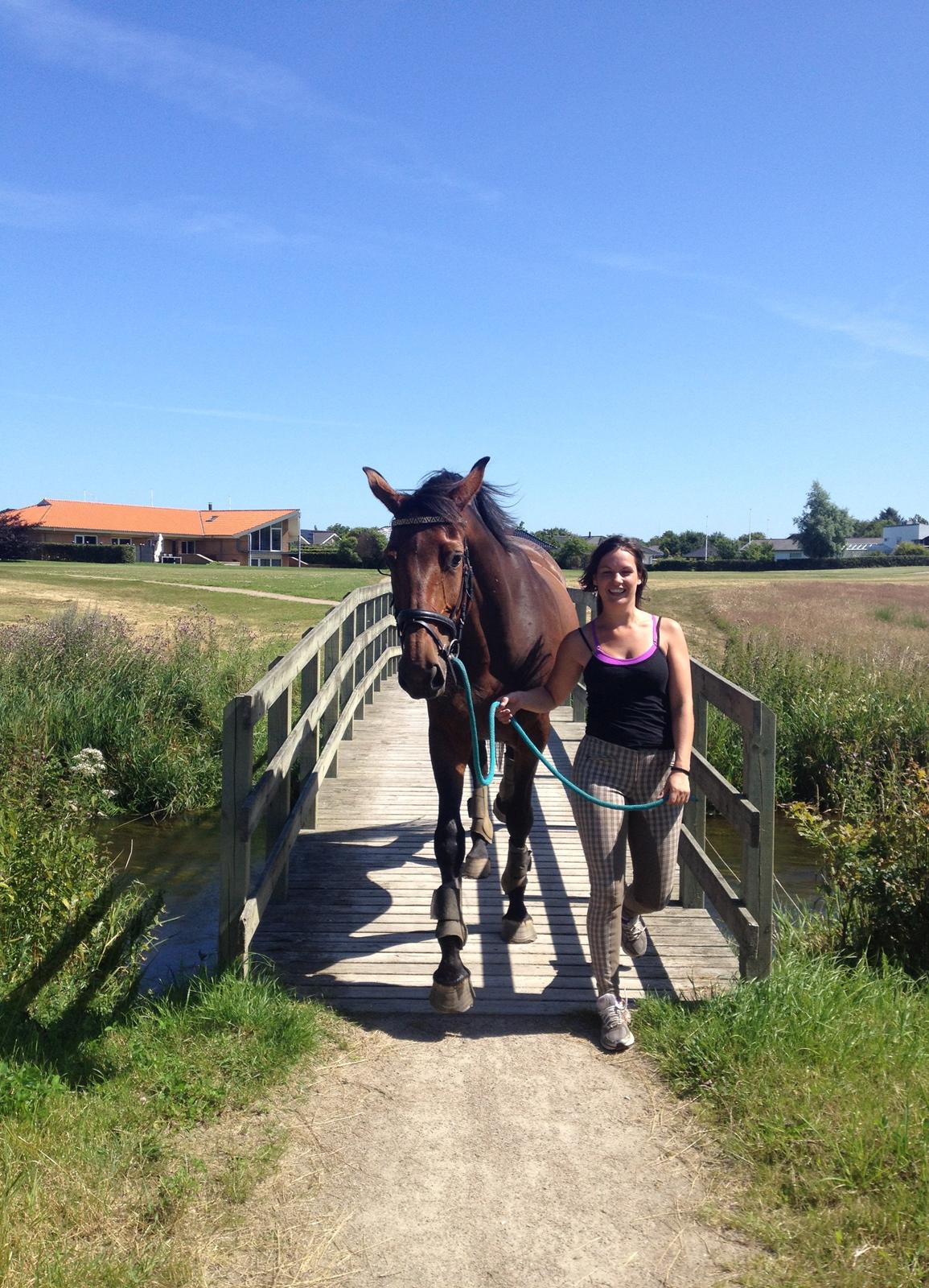 Dansk Varmblod Monique (Mini) - Og vi kom over broen :-D billede 4