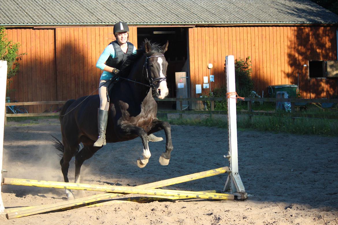 Dansk Varmblod Melissa - "dream until your dreams come true" my dreams comes true when i'm with you.<3 - d. 26 Juli 2012 billede 17