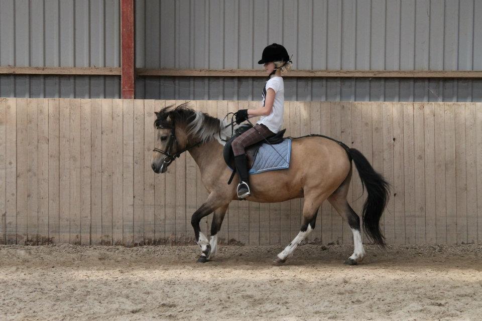 Anden særlig race Bonni billede 7