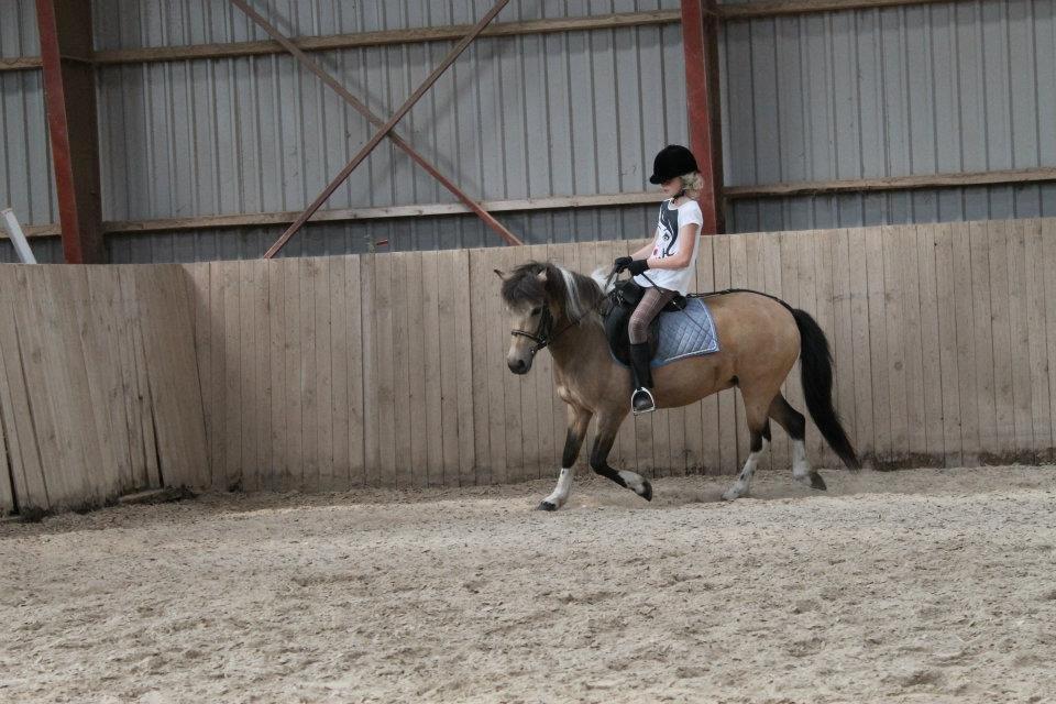 Anden særlig race Bonni billede 9