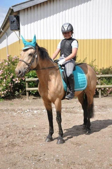 Anden særlig race Digelsgaardens Ginger(My little Girl)<3 <3 - Holiday in the sun<3 billede 8