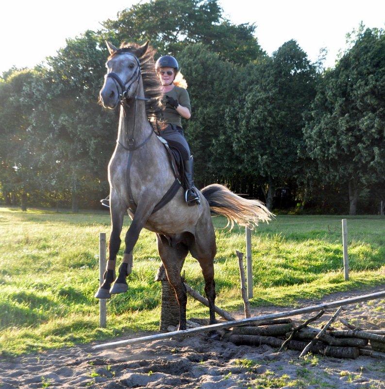 Anden særlig race Hegnsholts Felix - Vi hopper... Eller forsøger i hvert fald ;) Juli 2012 billede 11