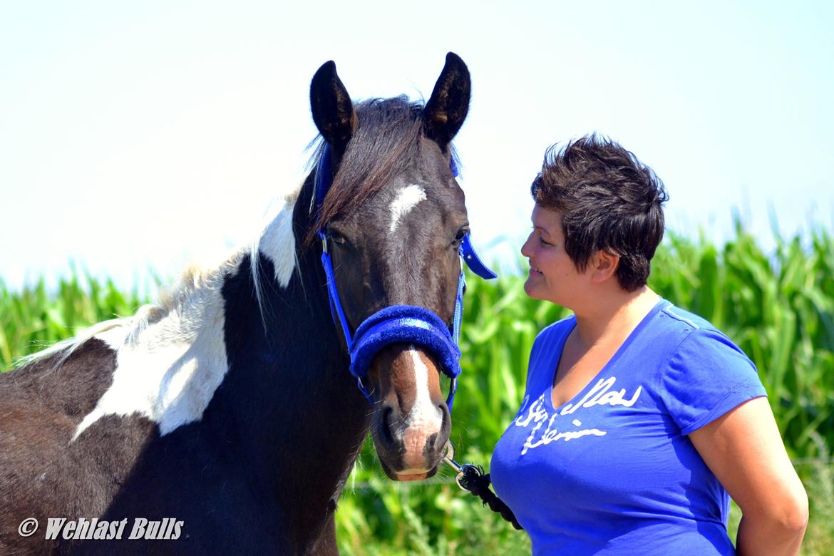 Barockpinto Drops Of Jupiter - Jupiter & jeg, Juli 2012 billede 2