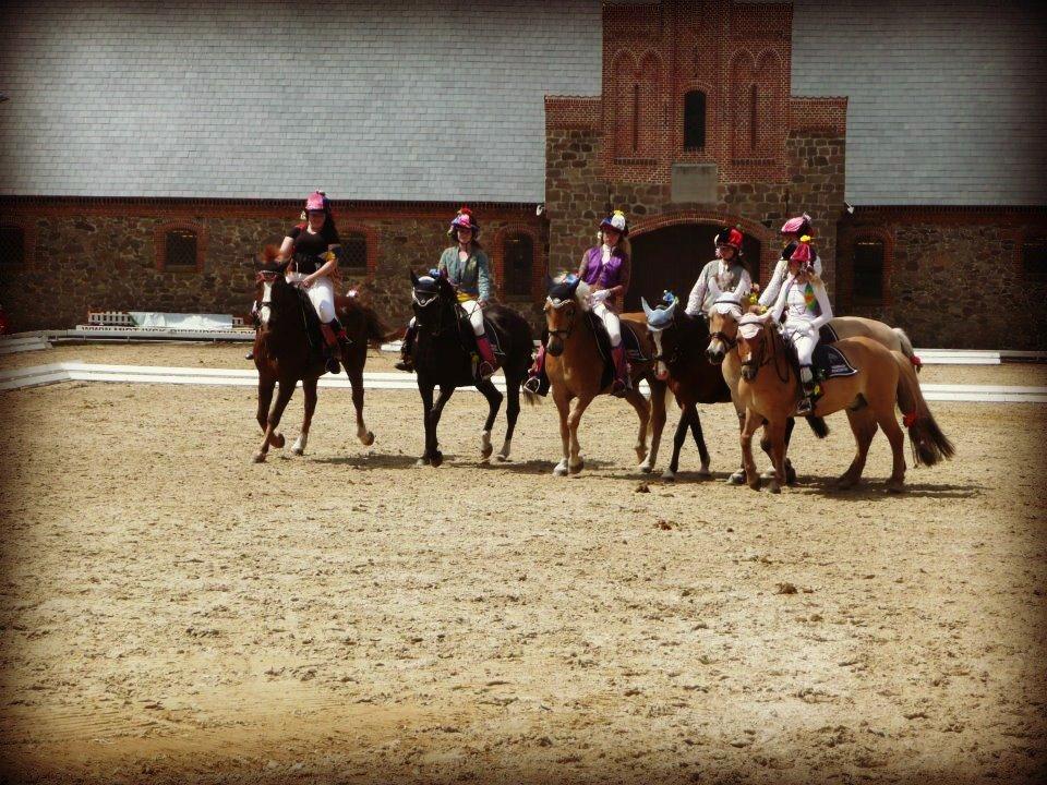 Anden særlig race Miss Shadow billede 5