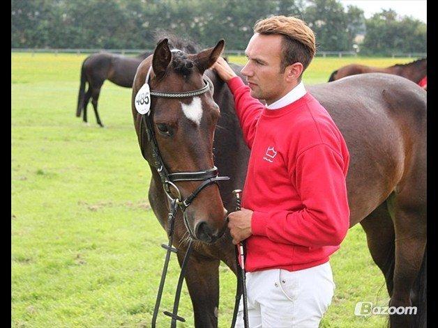 Dansk Varmblod Lunderup's Larina RDH billede 8