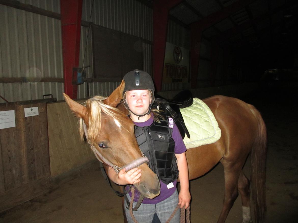 Arabisk fuldblod (OX) Zakiyah El Azraff - Efter 6. ridetur denne gang i trav første gang :D billede 9