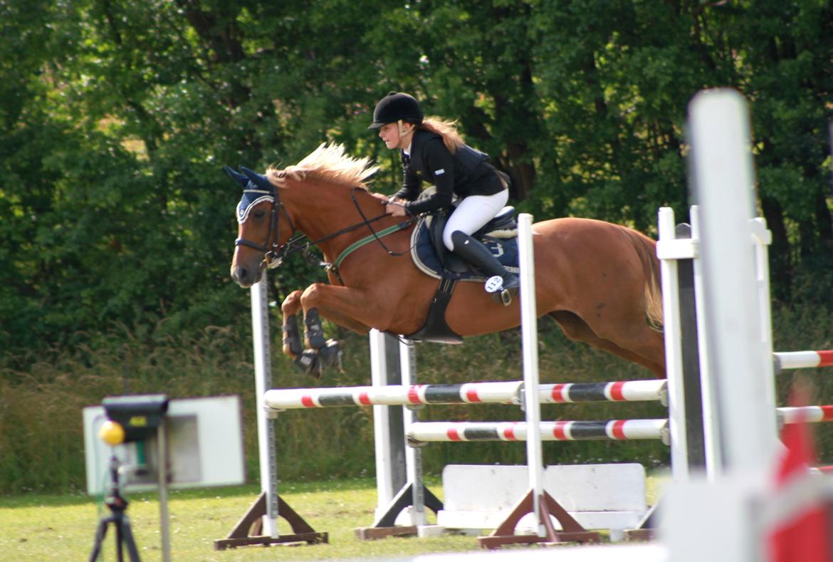 Appaloosa Sequoia van de lorkeershoeve <3 - LB** Lørdag 14/7-12 SLR c-stævne. 0fejl og 4. plads!:D
foto:Sofie andersen:) billede 23