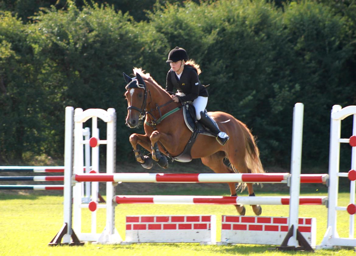 Appaloosa Sequoia van de lorkeershoeve <3 - LB** d. 15/7-12 SLR C-stævne. 1.plads!!:D stjerne pony:*
foto: Sofie Andersen:D billede 14