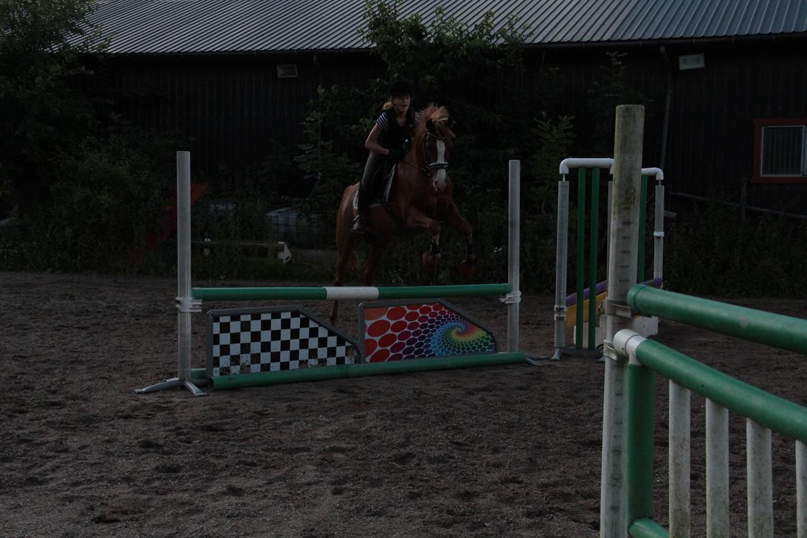 Arabisk fuldblod (OX) |Tyson Of Tas OX| - Springtræning :-D billede 14