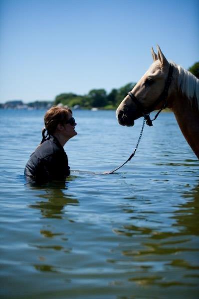 Palomino kvolsbæks westlife wonder billede 15