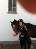 Welsh Cob (sec D) Sunshine Santana - Altid elsket!<3 - Nurgh <3 :D billede 1