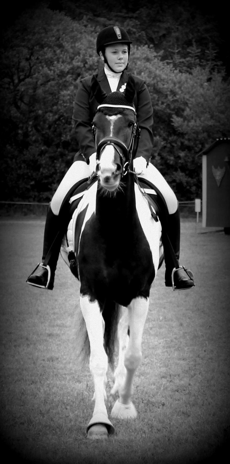 Anden særlig race Anastacia - Andet stævne, procenterne var ikke for gode, men jeg var stadig stolt af min stjerne! billede 8