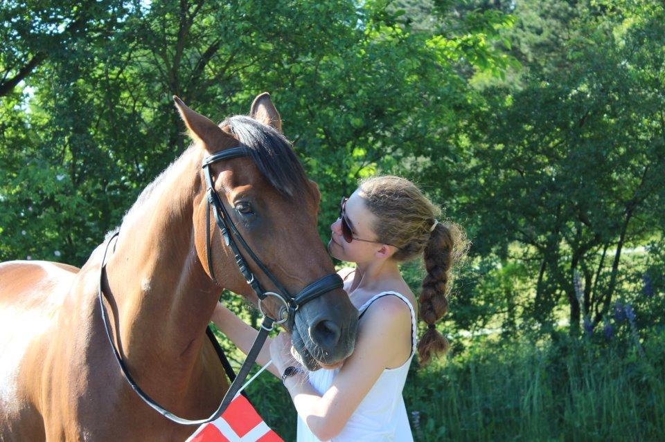 Dansk Varmblod Chico - Jeg elsker dig :)<3 billede 3