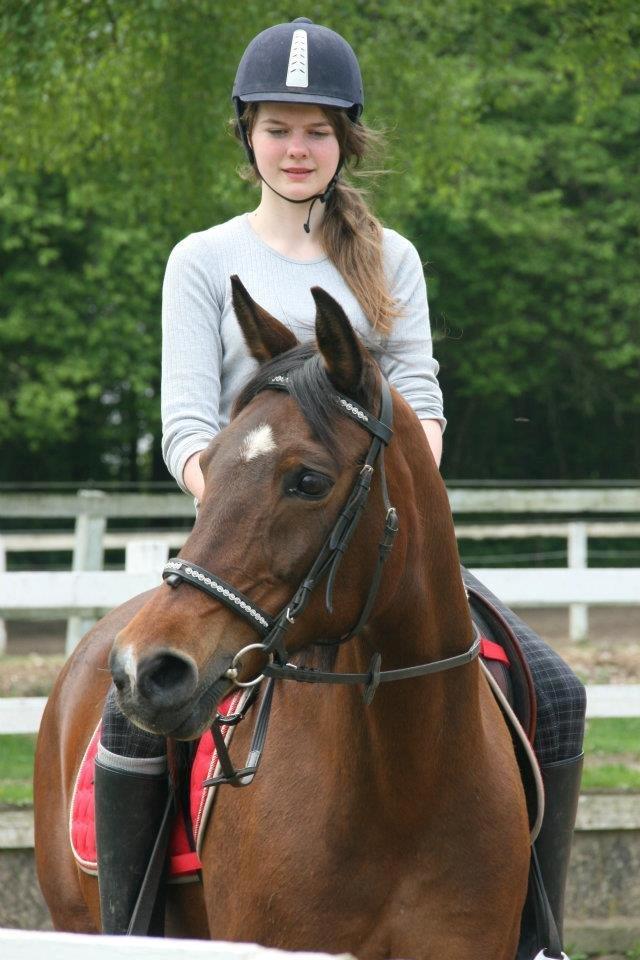 Anden særlig race Cargo billede 1