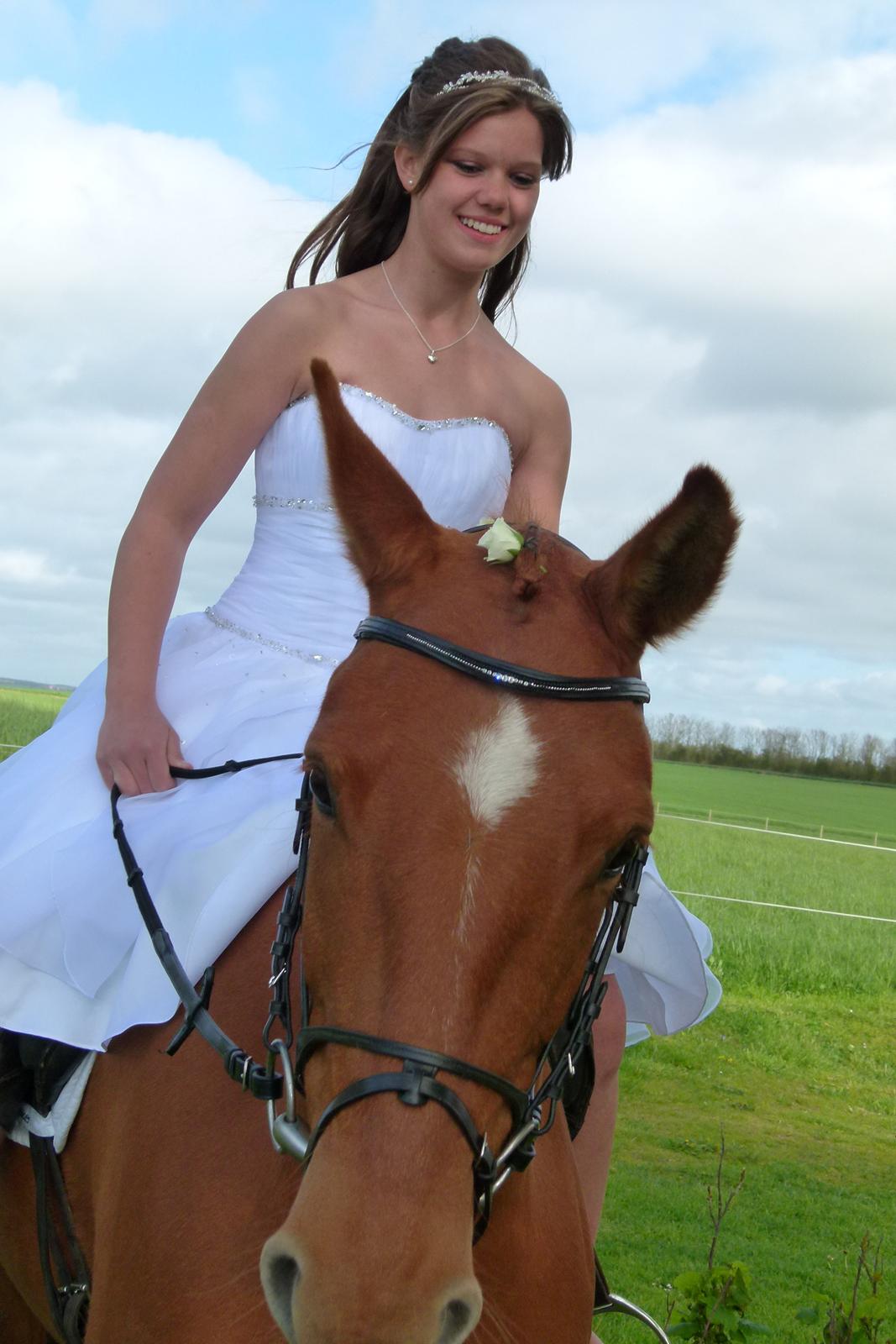 Anden særlig race petit billede 9