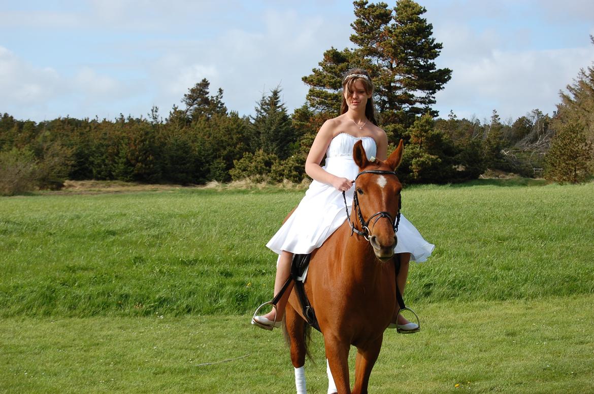 Anden særlig race petit billede 10