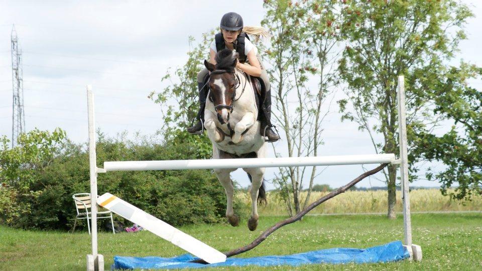 Anden særlig race Magnum<3 billede 9