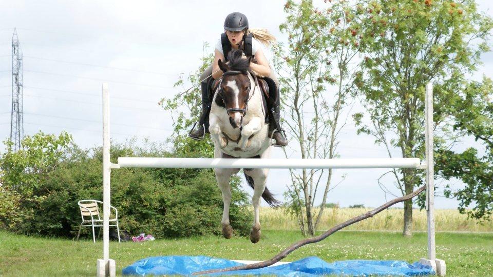 Anden særlig race Magnum<3 billede 10