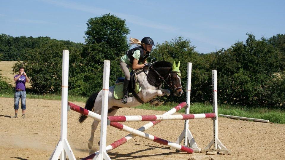 Anden særlig race Magnum<3 billede 13