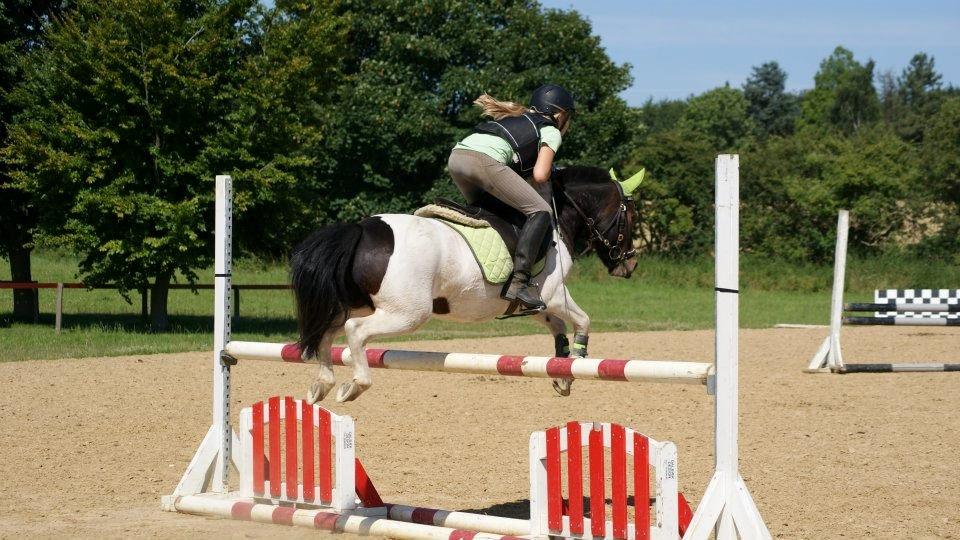 Anden særlig race Magnum<3 billede 14