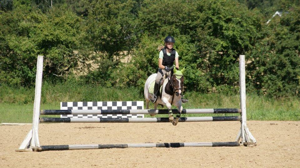 Anden særlig race Magnum<3 billede 15