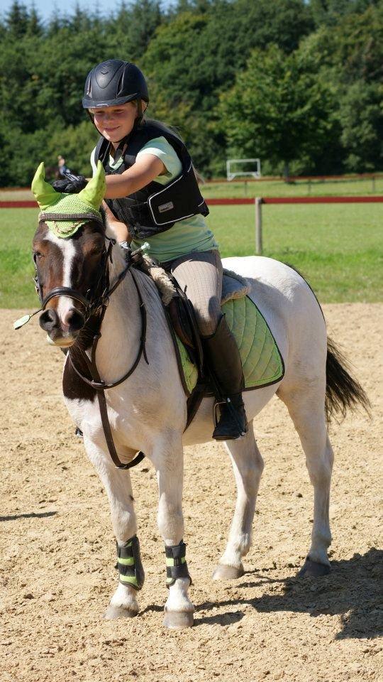 Anden særlig race Magnum<3 billede 16