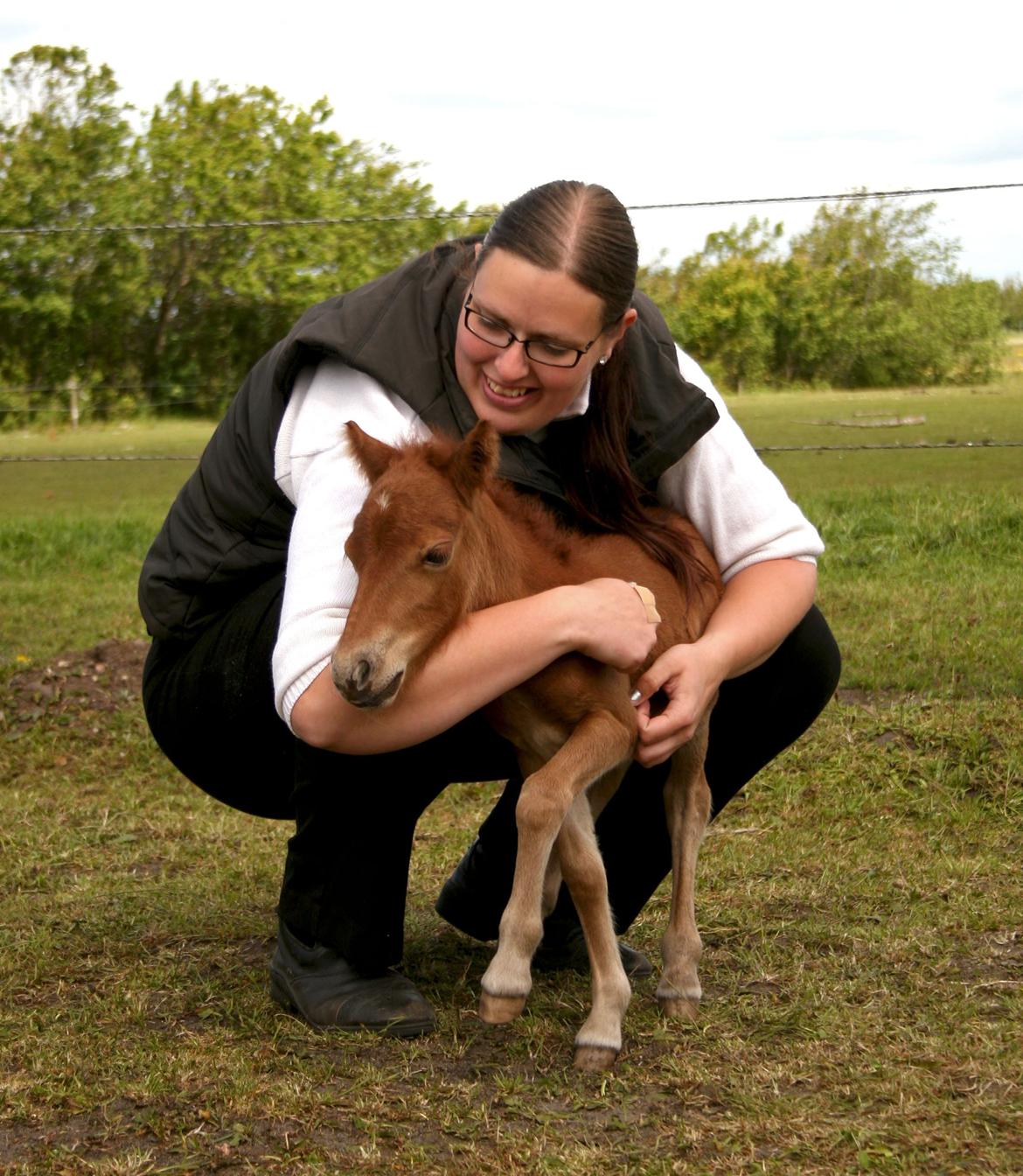Anden særlig race Cera *Dele-Pony* (SOLGT) - En af de første dage med Cera billede 2