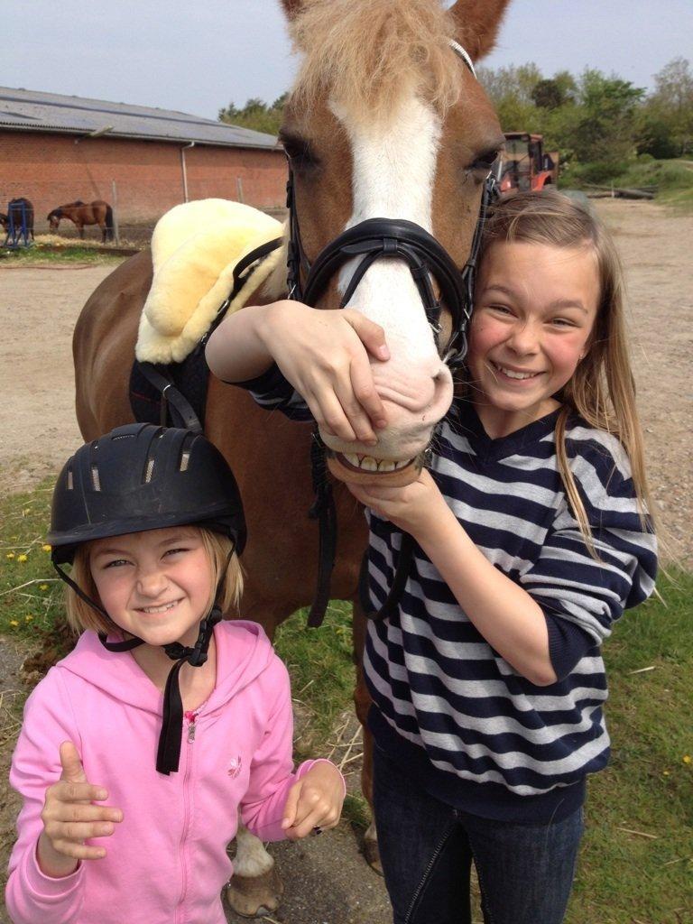 DSP Zita A. M - Smil og vær glad...:)<3 billede 3