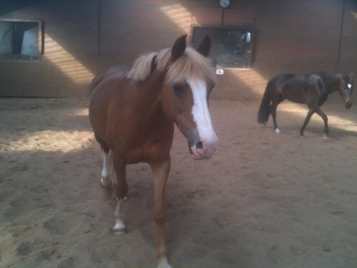 DSP Zita A. M - Nutid, datid, du LÆKKER for altid!<3 billede 4