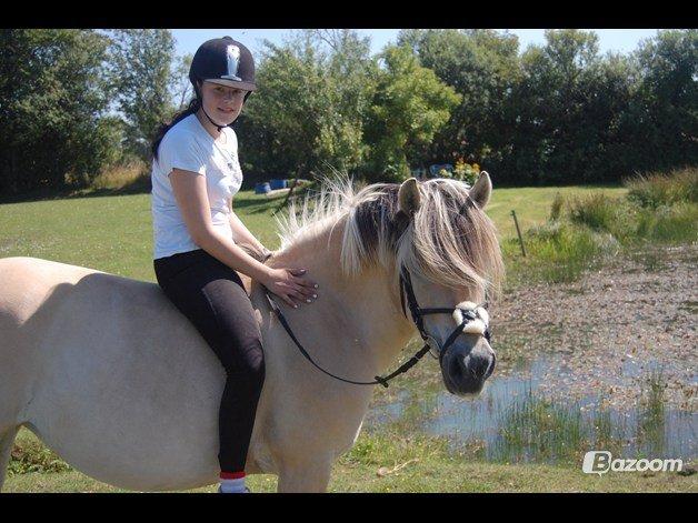Fjordhest Vennely's Emma - Mig og min skat billede 19