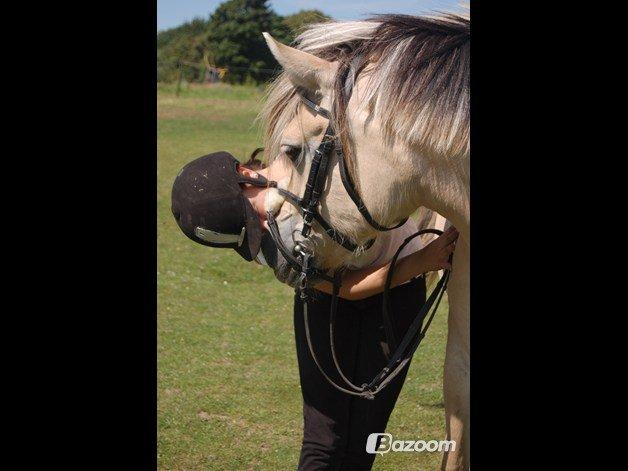 Fjordhest Vennely's Emma - Mys - vi ses! billede 20