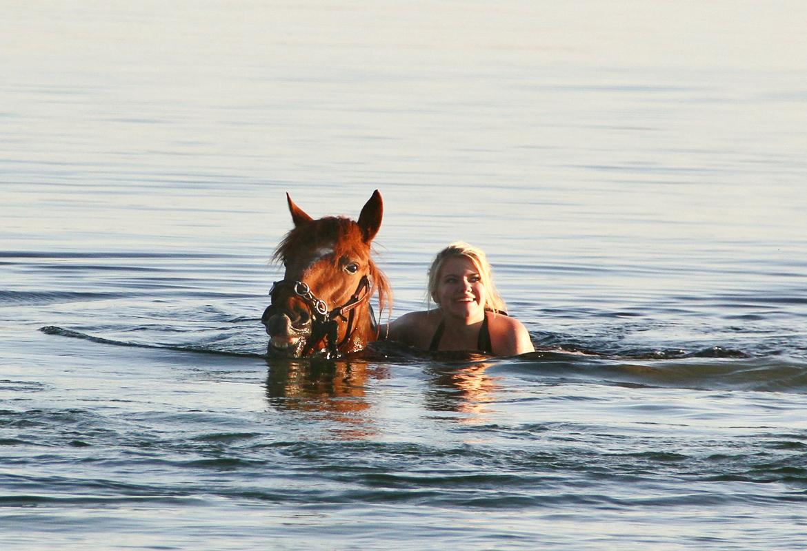 Anden særlig race | Galina Desire - 26.07.2012 billede 9