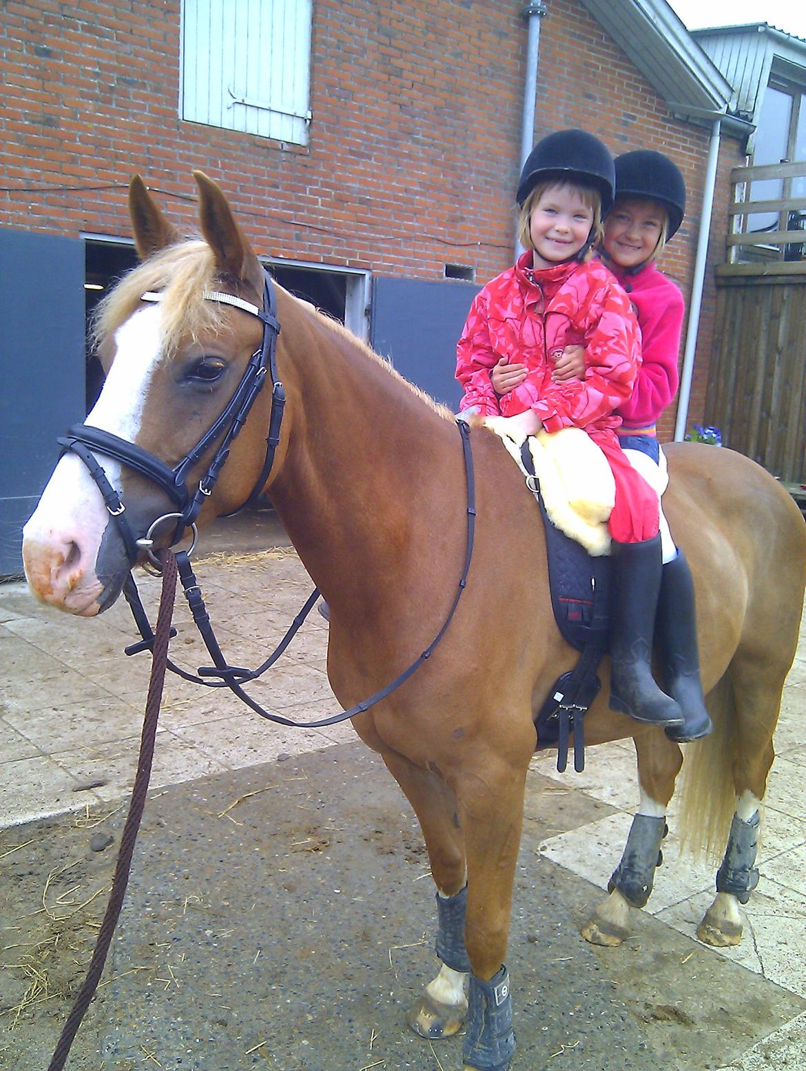 DSP Zita A. M - Så fik de små lige en tur:) Super hyggeligt:D  billede 5