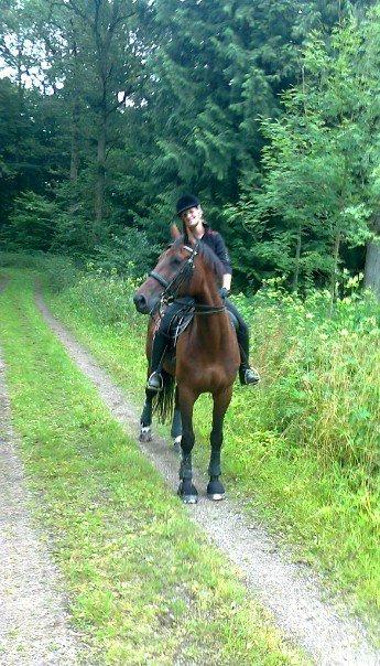Dansk Varmblod Corina (Steffie) - Steffie på skovtur juli 2012 billede 11