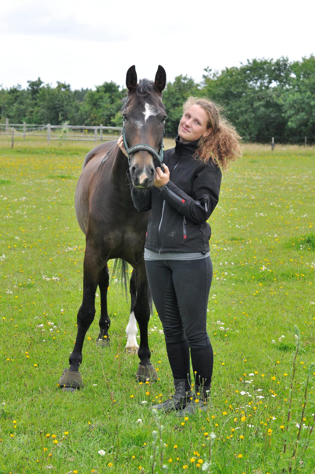 New Forest Elmholts Education A-pony (solgt) - Farvel Eddie. D. 20. juli kom du til Billund, hvor Julie skal ride dig, indtil du er solgt. Tak for 5½ fantastiske år. Du vil aldrig blive glemt - du er helt særlig <3 billede 20