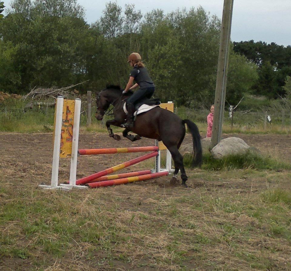 New Forest Lukas Søblink billede 12