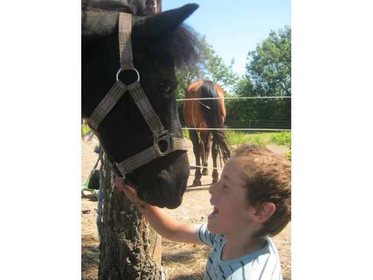 {{currentPhoto.altText}} billede {{currentPhoto.number}}