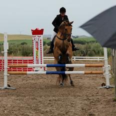 Anden særlig race Marco  :-D