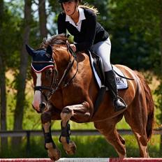 Tysk Oldenburger Gørklitgårds Octana