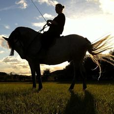 Pura Raza Española TU Ortigo (Manse)