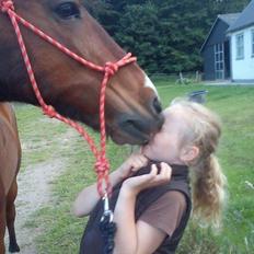 New Forest Lucas lånepony :) <3