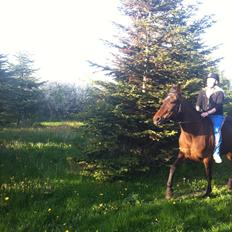 Traver Mybony Hackstable (Mille) solgt <3