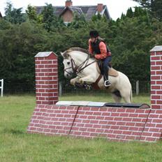 Anden særlig race Kiki Danmarksmester i Trail
