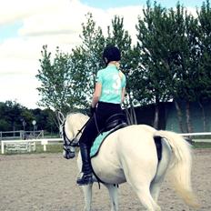 Anden særlig race Shadow (Part)